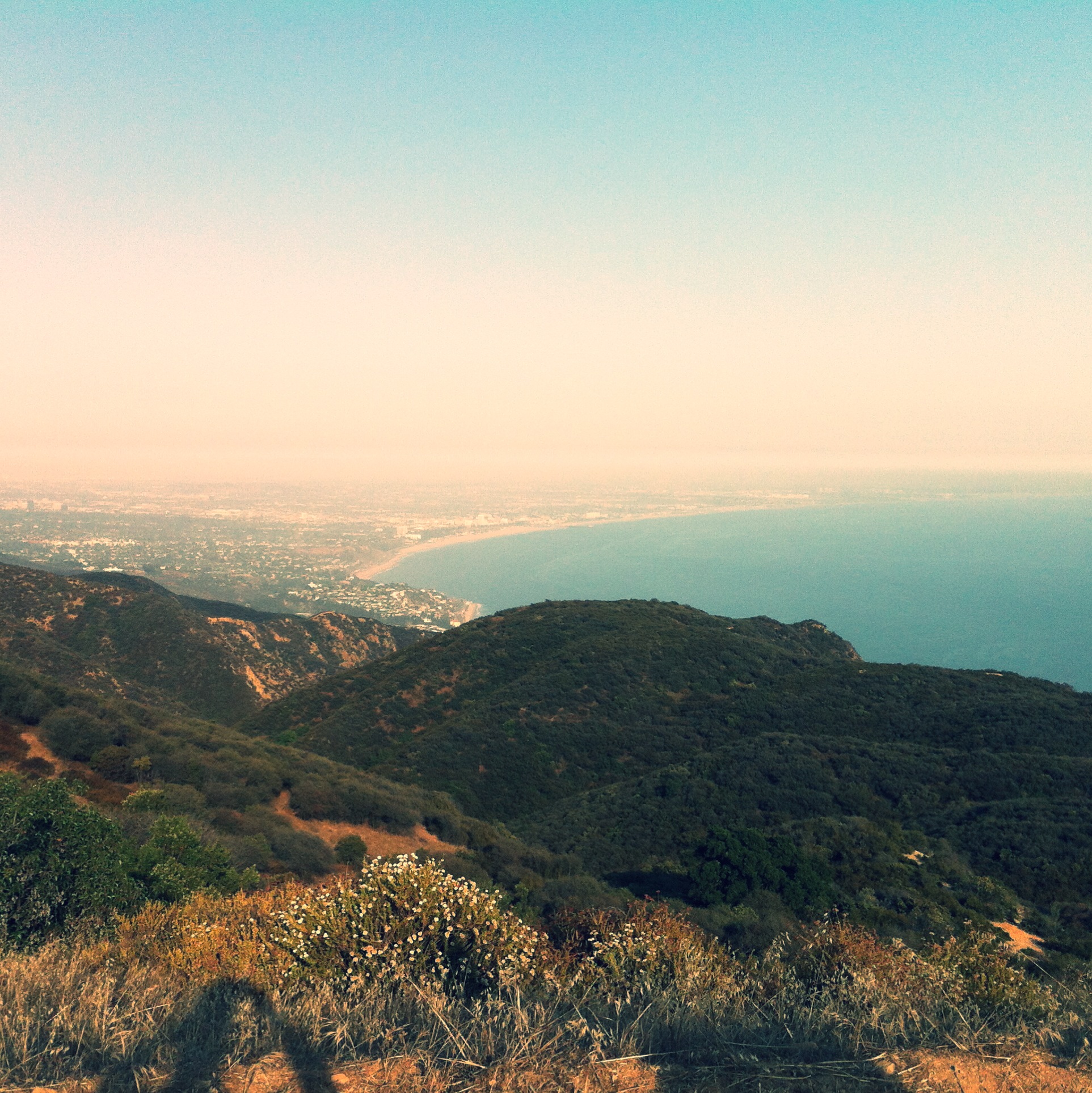 jamface » Blog Archive » Trail Tuna Canyon Park